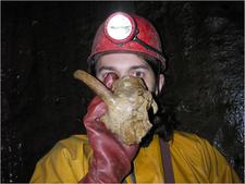 Thumbnail of photo from this article